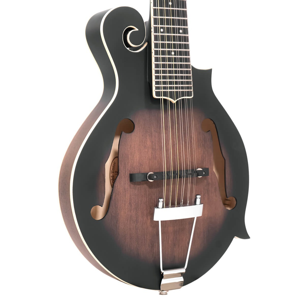 Gold Tone F-12 12-String F-Style Mando-Guitar with Pickup