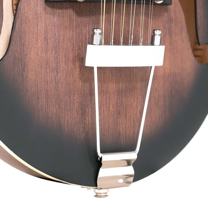 Gold Tone F-12 12-String F-Style Mando-Guitar with Pickup