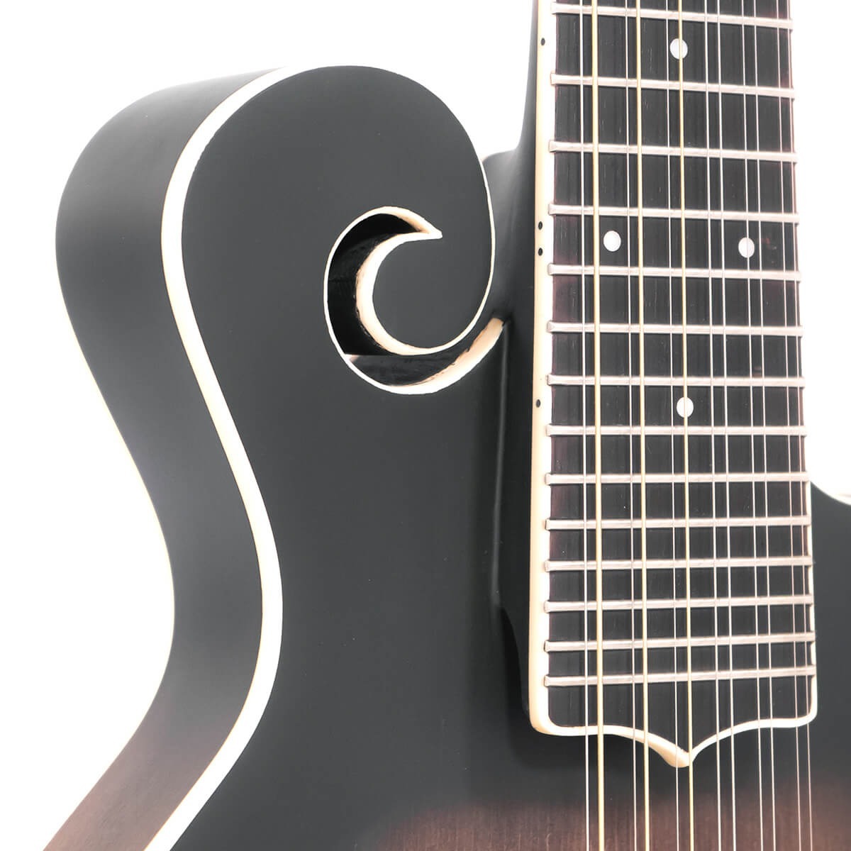 Gold Tone F-12 12-String F-Style Mando-Guitar with Pickup