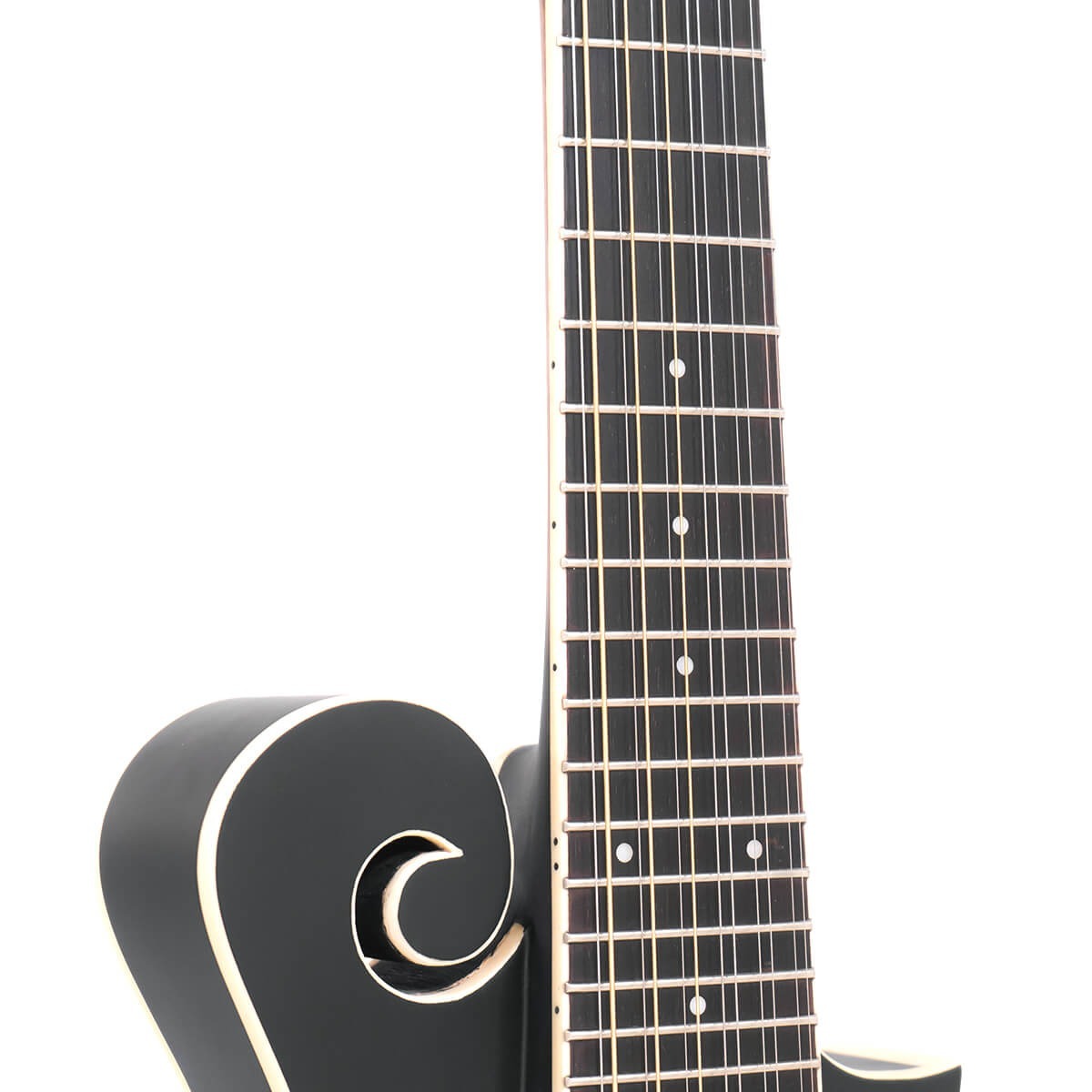 Gold Tone F-12 12-String F-Style Mando-Guitar with Pickup