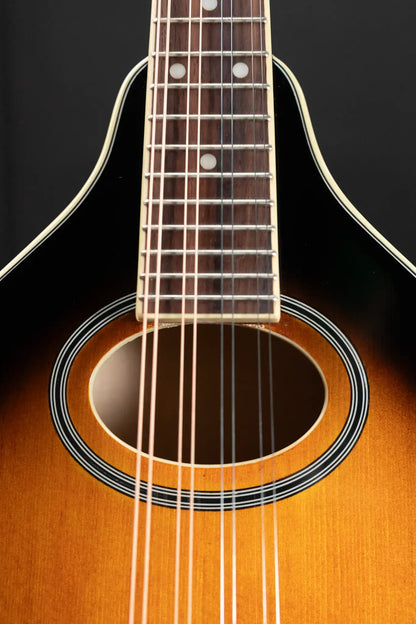 Gold Tone GM-50+ Acoustic-Electric Mandolin - Tobacco Sunburst with Gig Bag - Used