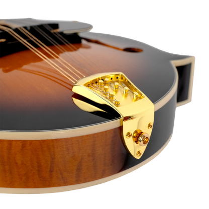 Gold Tone GM-70+ Mastertone F-Style Mandolin