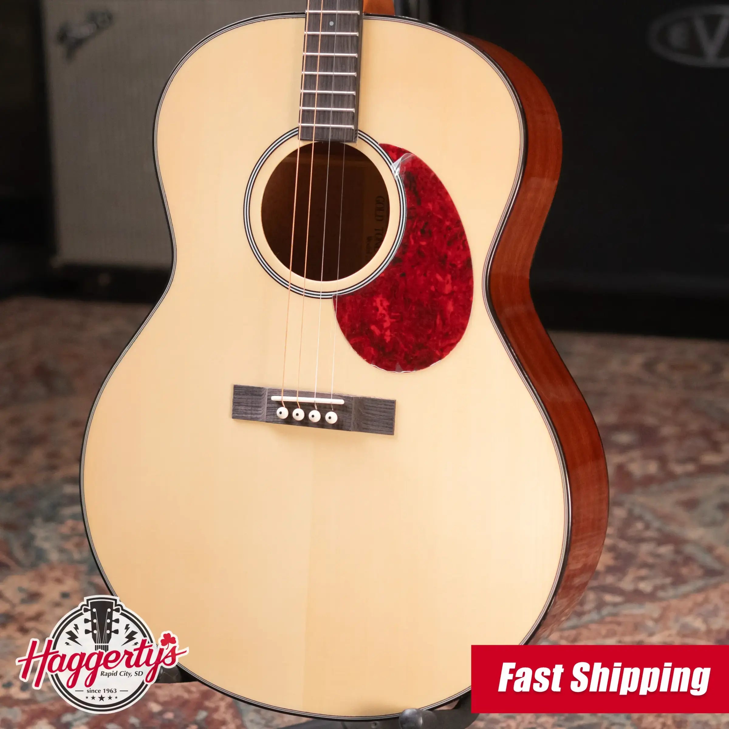Gold Tone TG-10 Tenor Guitar with Gig Bag