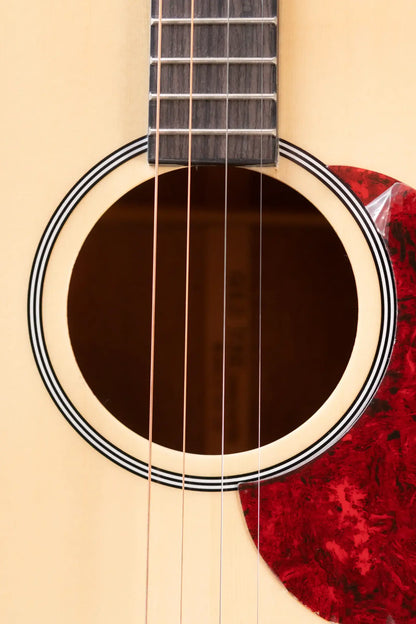 Gold Tone TG-10 Tenor Guitar with Gig Bag