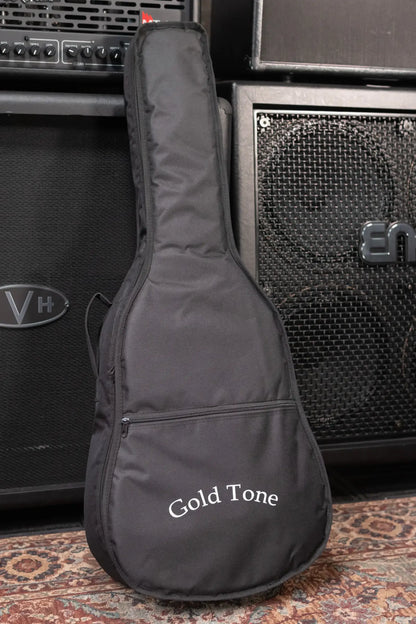 Gold Tone TG-10 Tenor Guitar with Gig Bag