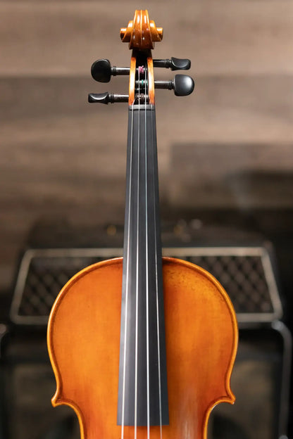 Howard Core Dragon DR50 Violin