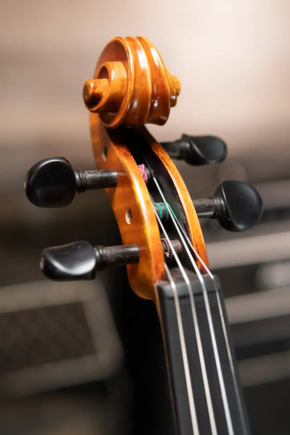 Howard Core Dragon DR50 Violin