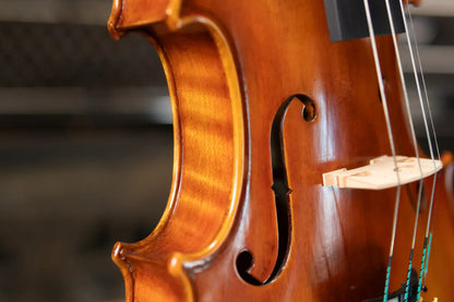 Howard Core Dragon DR50 Violin
