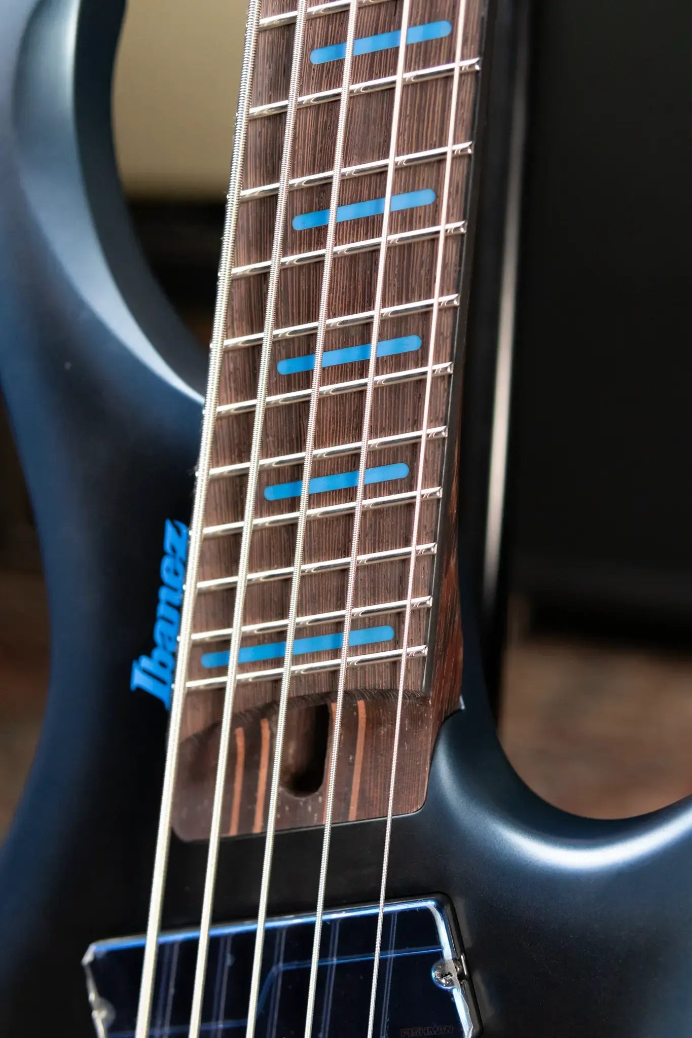 Ibanez EHB5MSBSP 5-String Multi Scale Electric Bass - Midnight Arctic Ocean Matte with Gig Bag