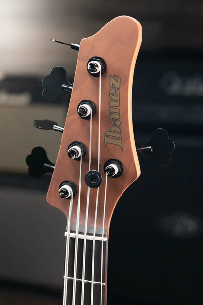 Ibanez MDM1005-MAM Mode 5-String Electric Bass - Midnight Arctic Ocean Matte with Structured Gig Bag