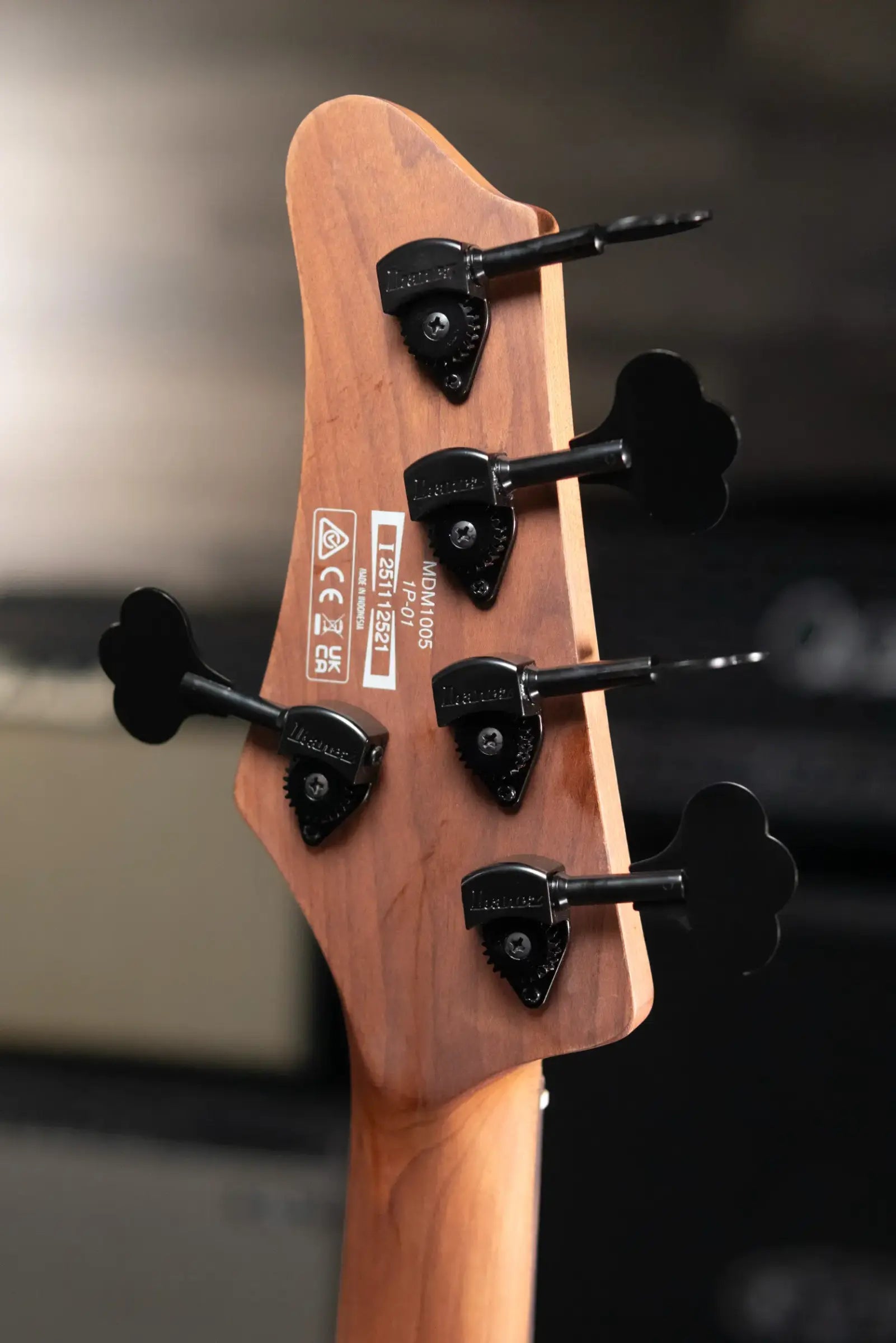 Ibanez MDM1005-MAM Mode 5-String Electric Bass - Midnight Arctic Ocean Matte with Structured Gig Bag