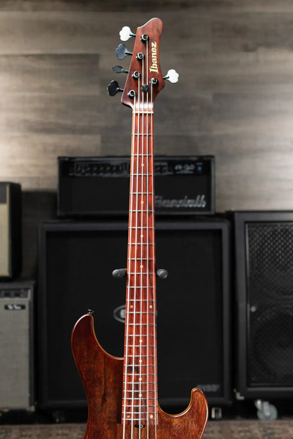 Ibanez MDM Visions Japan Custom Shop 5-String Electric Bass with Case