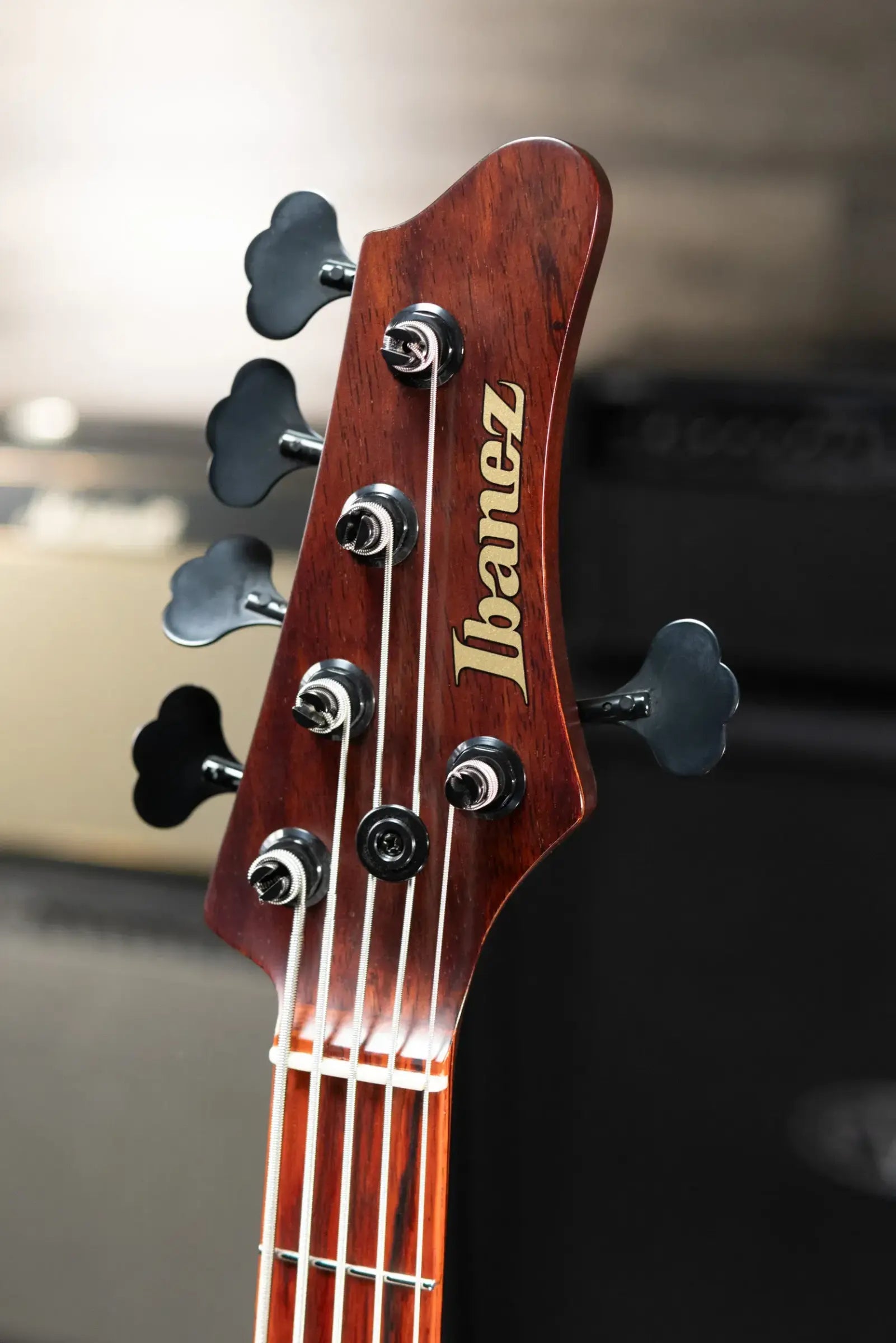 Ibanez MDM Visions Japan Custom Shop 5-String Electric Bass with Case