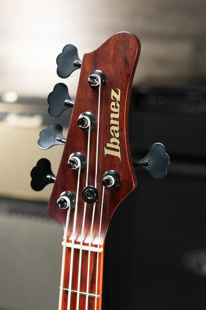 Ibanez MDM Visions Japan Custom Shop 5-String Electric Bass with Case