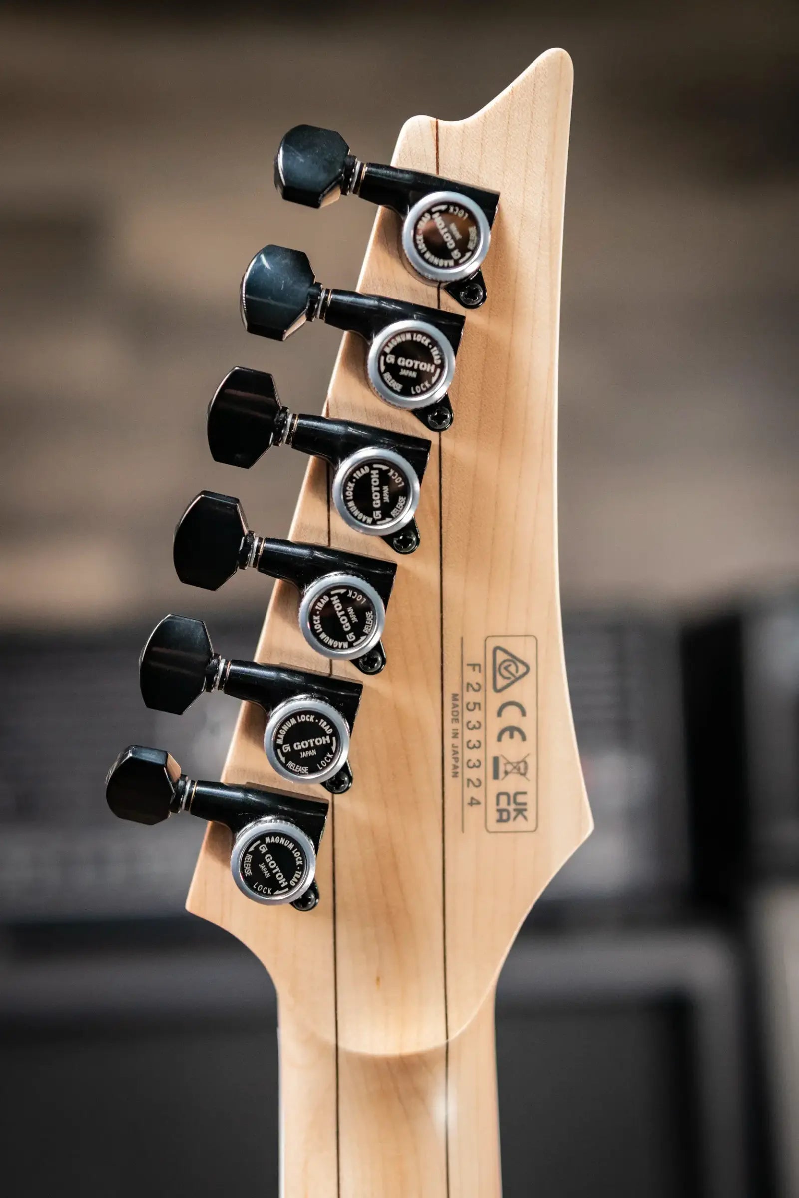 Ibanez Prestige RGR662AHBFWK Electric Guitar - Weathered Black