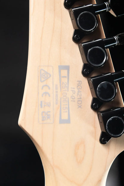 Ibanez RG421DXTWS Standard Electric Guitar - Twilight Shade