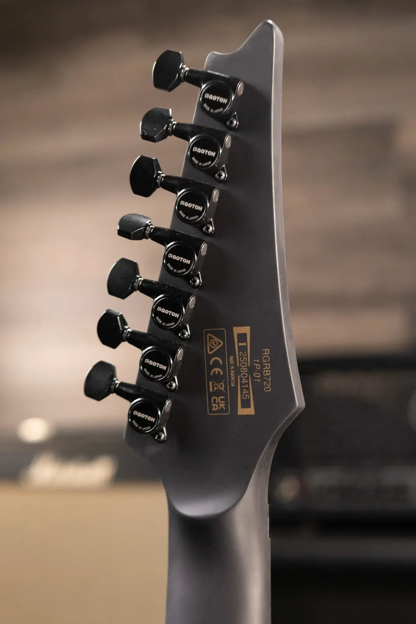 Ibanez RGRB720 Iron Label 7-String Electric Guitar - Black