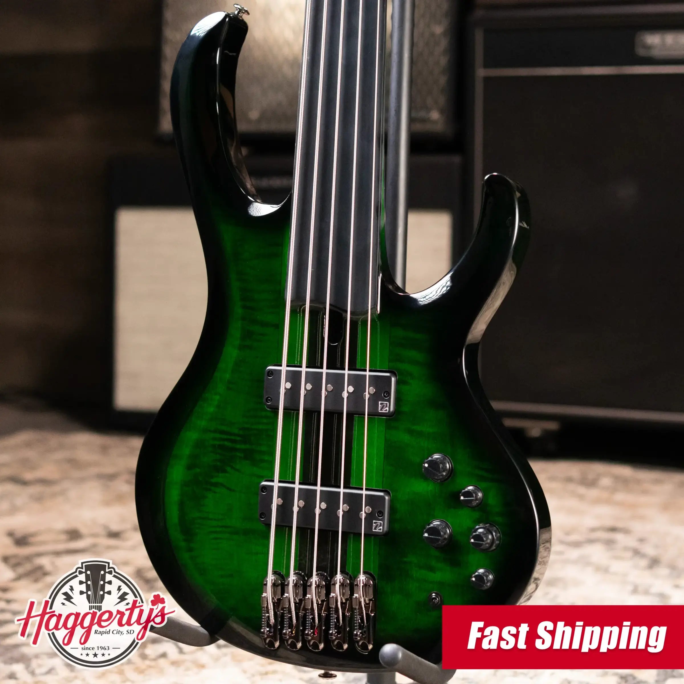 Ibanez Steve Di Giorgio Signature SDGB1-DMT 5-String Fretless Electric Bass - Dark Moss Burst