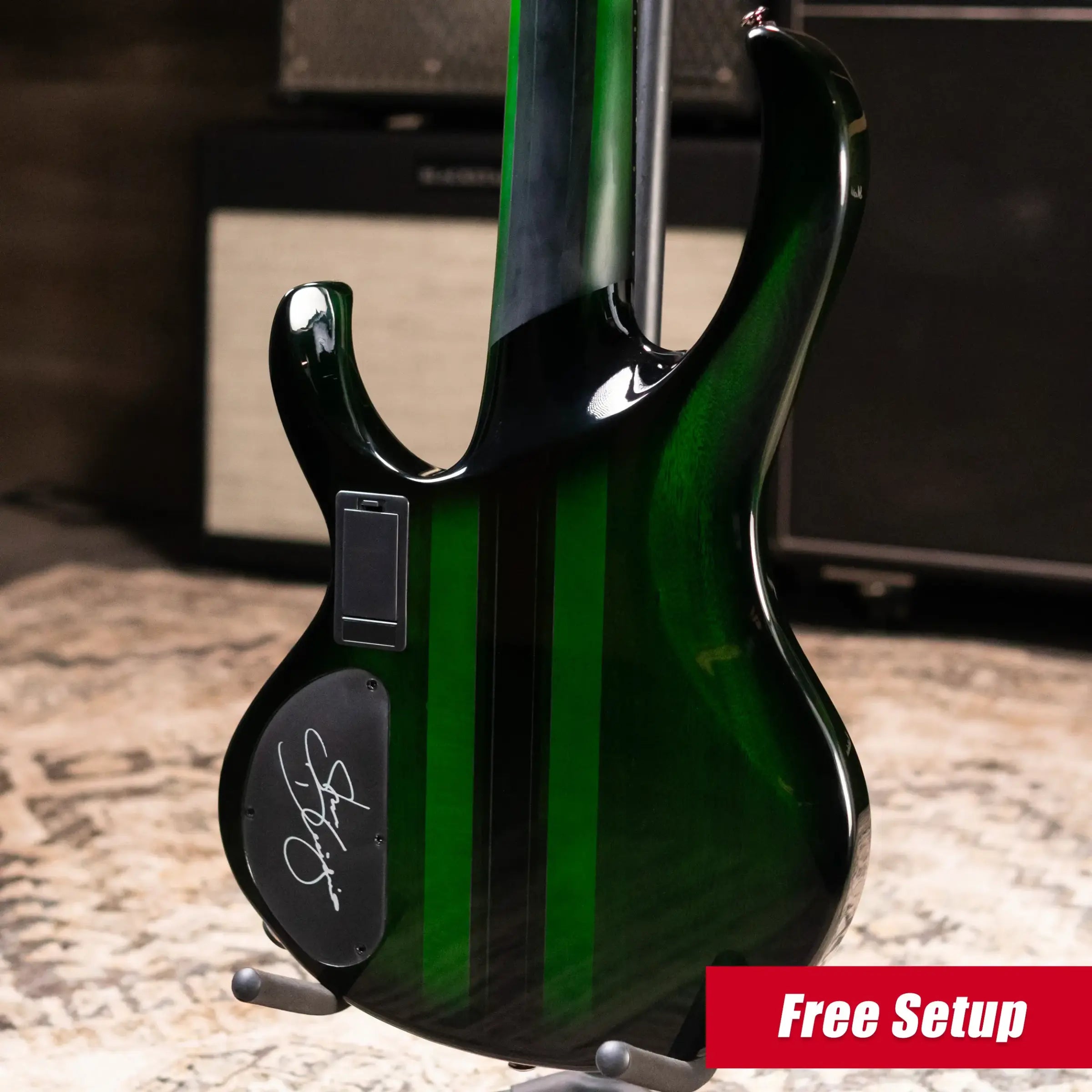 Ibanez Steve Di Giorgio Signature SDGB1-DMT 5-String Fretless Electric Bass - Dark Moss Burst