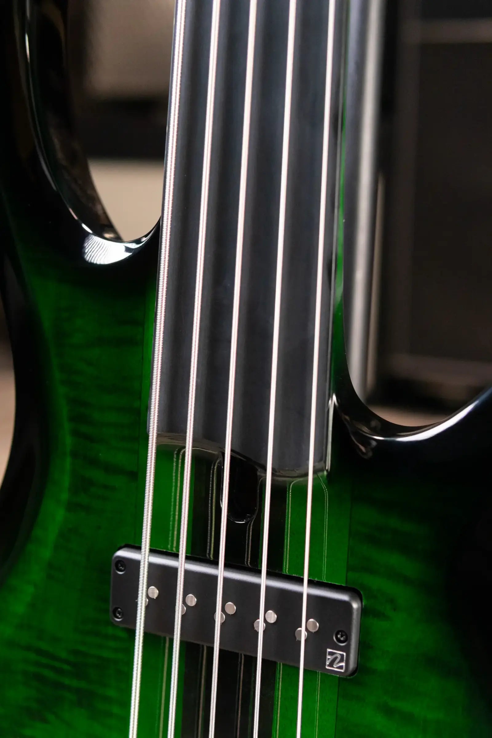 Ibanez Steve Di Giorgio Signature SDGB1-DMT 5-String Fretless Electric Bass - Dark Moss Burst