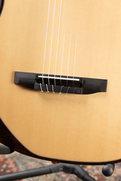 Ibanez TOD100N Tim Henson Signature Nylon Electric Guitar - Natural High Gloss with Gig Bag