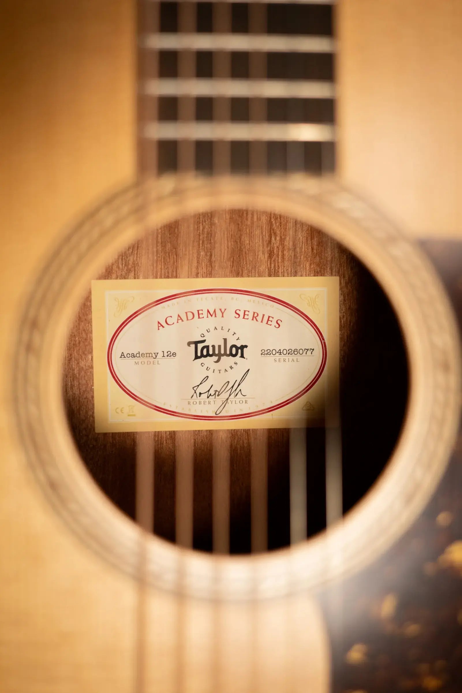 Taylor Academy 12e Grand Concert Acoustic/Electric Guitar with Gig Bag