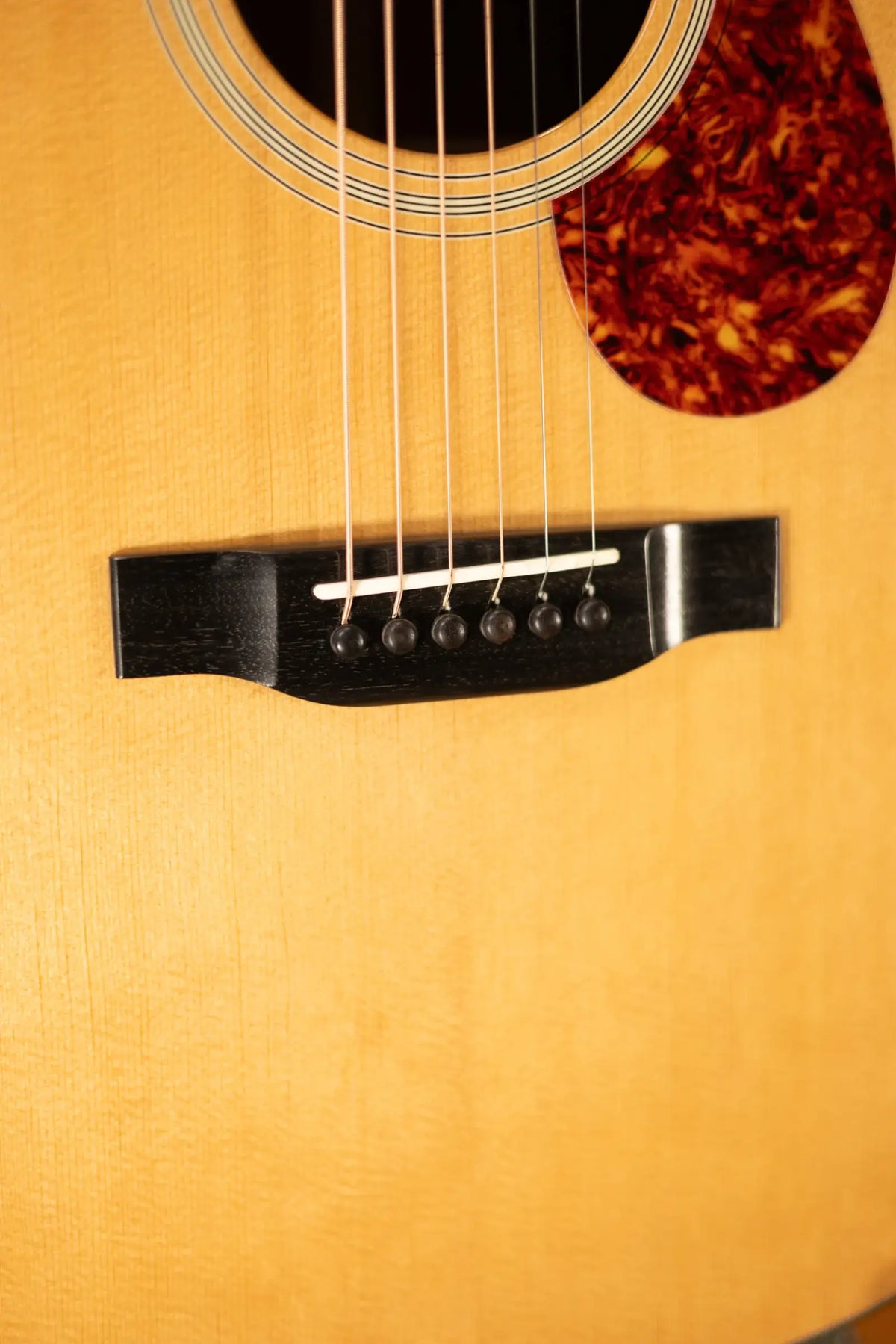 Eastman E1OM-DLX Acoustic/Electric Guitar with Gig Bag