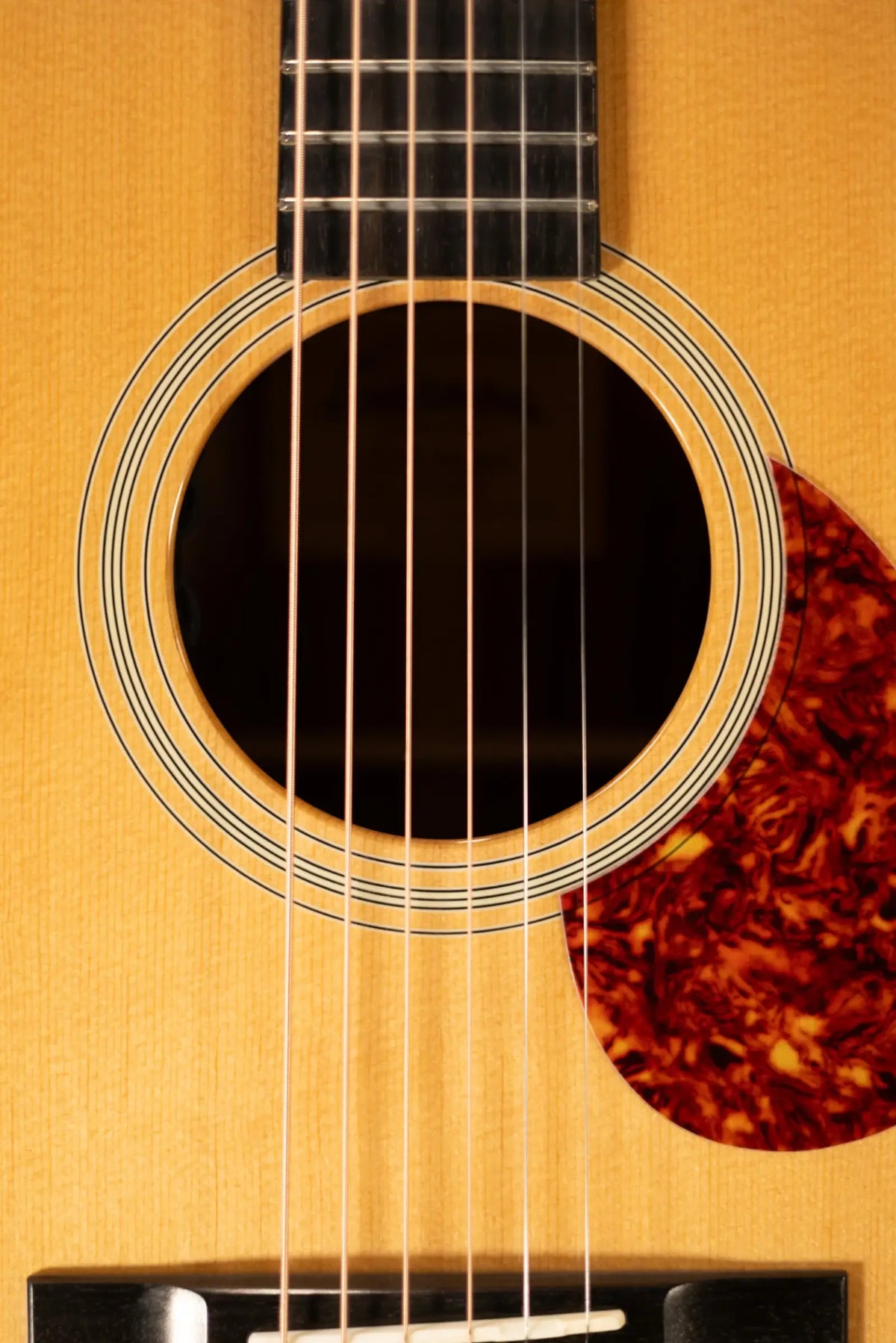Eastman E1OM-DLX Acoustic/Electric Guitar with Gig Bag