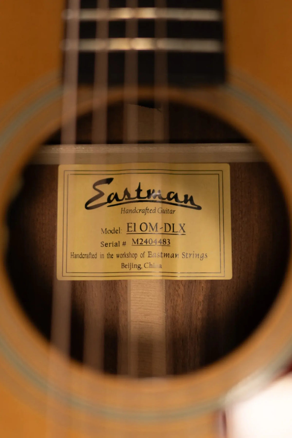 Eastman E1OM-DLX Acoustic/Electric Guitar with Gig Bag