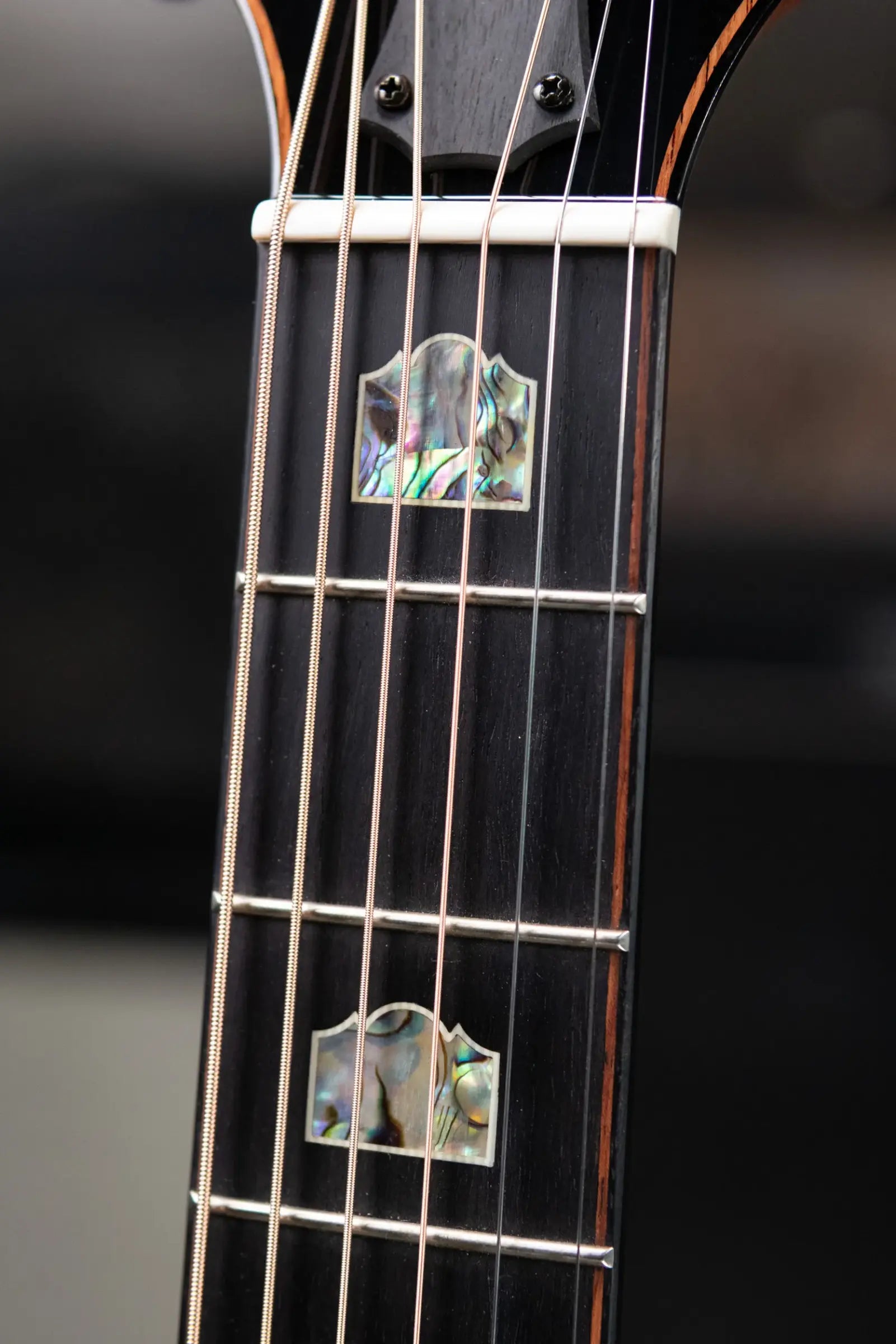 Taylor 2026 Catch Custom #13 C10e Dreadnought Acoustic/Electric Guitar with Hardshell Case