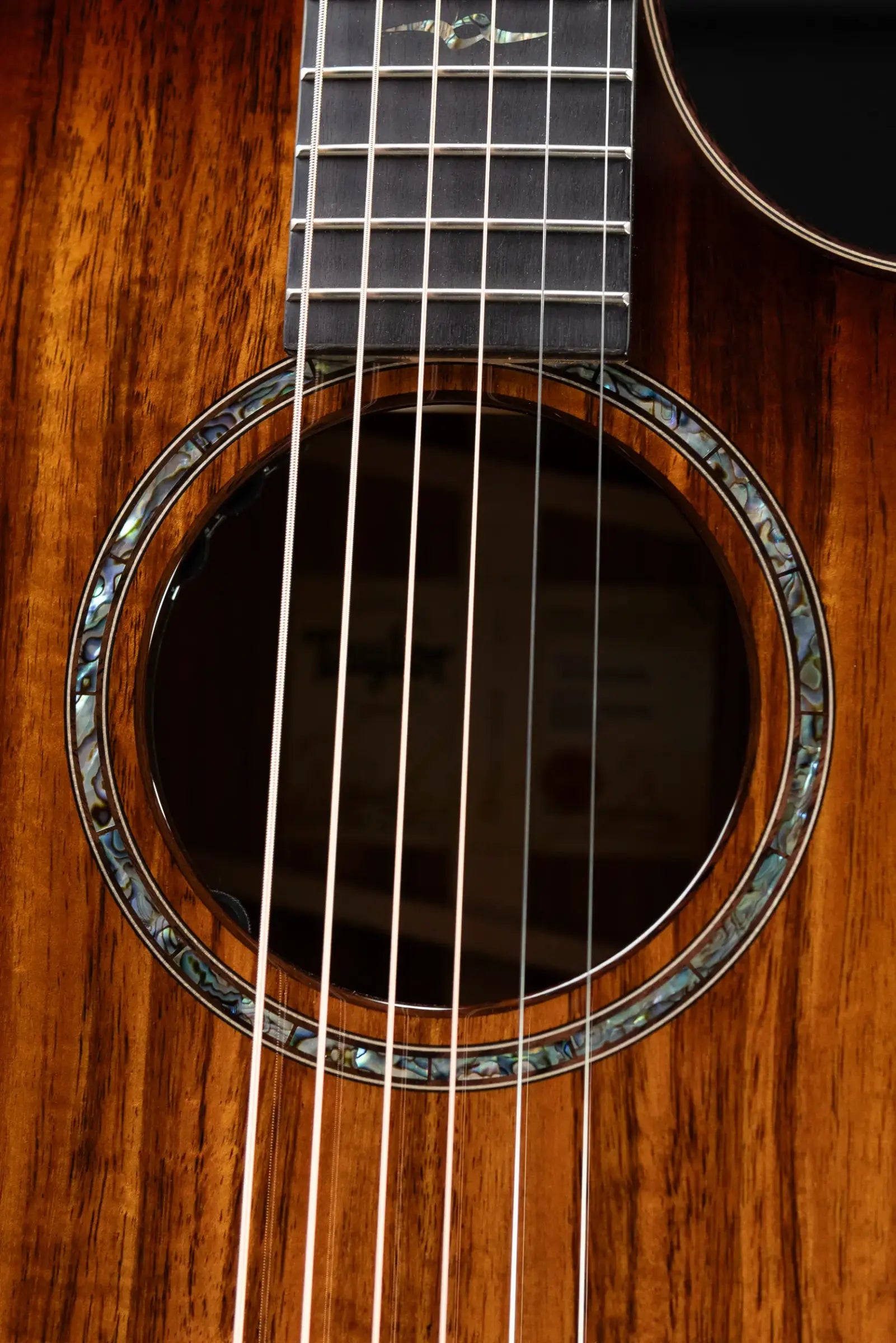 Taylor Next Generation K24ce Special Edition Grand Auditorium Acoustic/Electric Guitar - Shaded Edgeburst with Hardshell Case