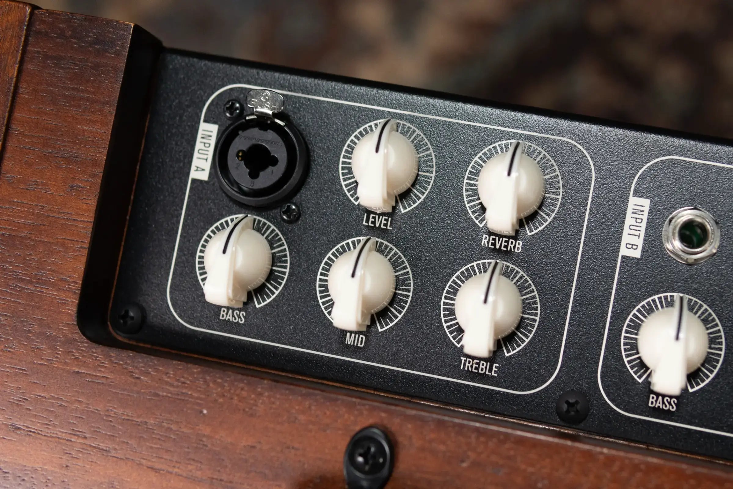 Taylor Circa 74, 2-Channel Acoustic/Vocal Amplifier with Mahogany Amp Stand - Factory Used