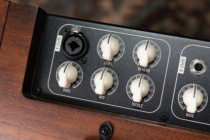 Taylor Circa 74, 2-Channel Acoustic/Vocal Amplifier with Mahogany Amp Stand - Factory Used