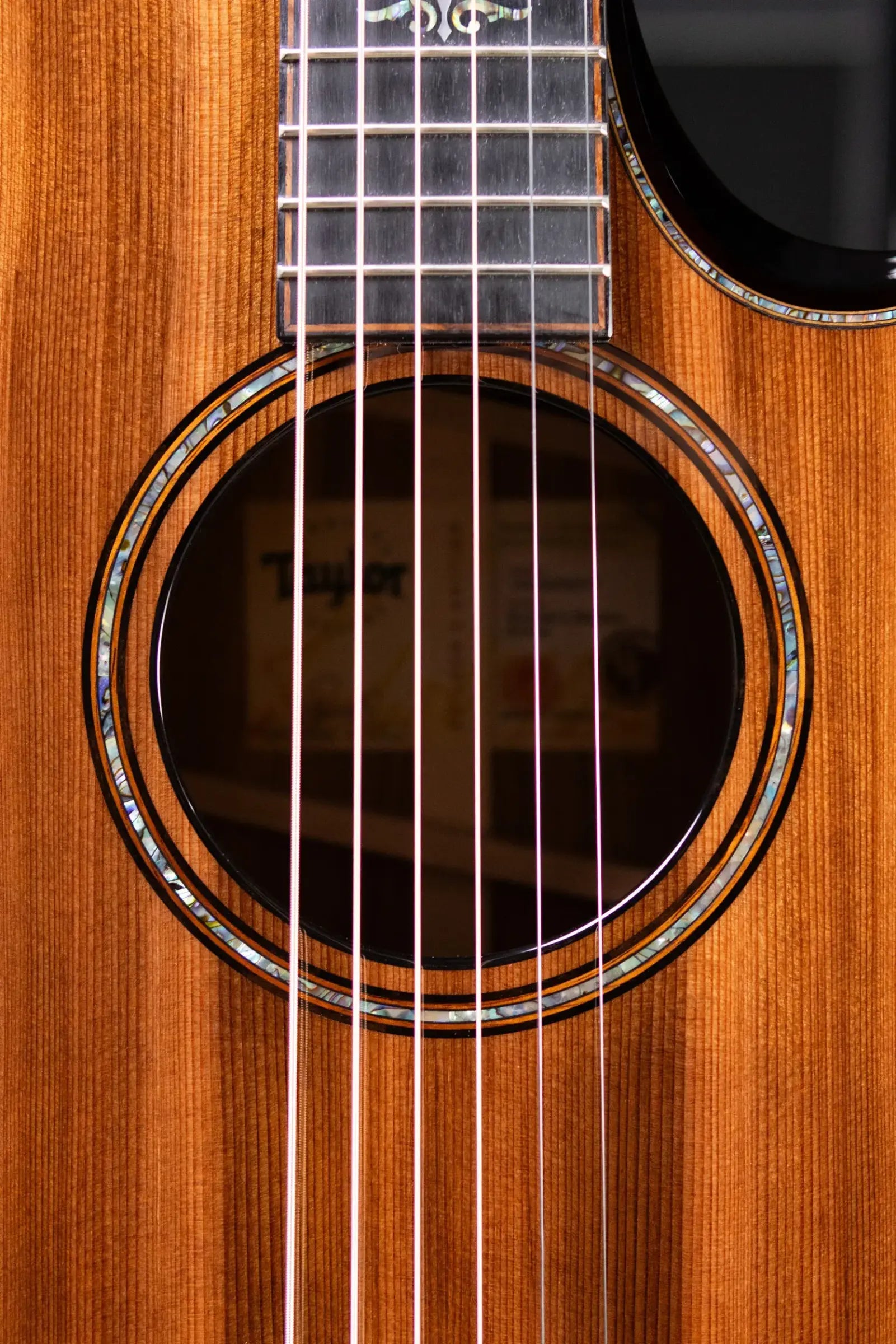 Taylor Builder's Edition 912ce Grand Concert Acoustic/Electric Guitar - Sinker Redwood/Honduran Rosewood with Hardshell Case