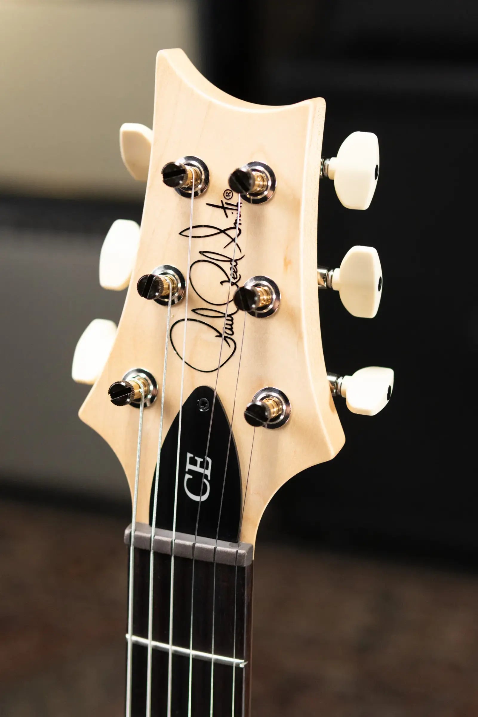 PRS CE 24 Semi-hollow Electric Guitar - Sprayer's Choice with Gig Bag