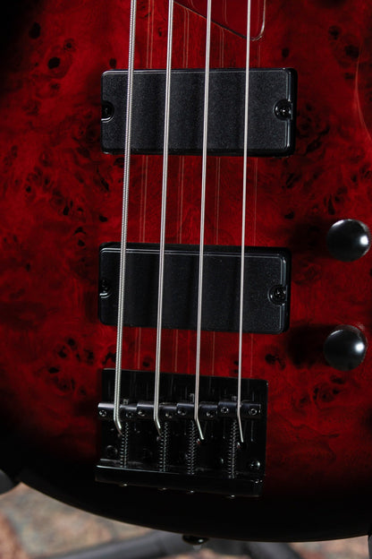 ESP LTD B-204DX Electric Bass - Red Burst