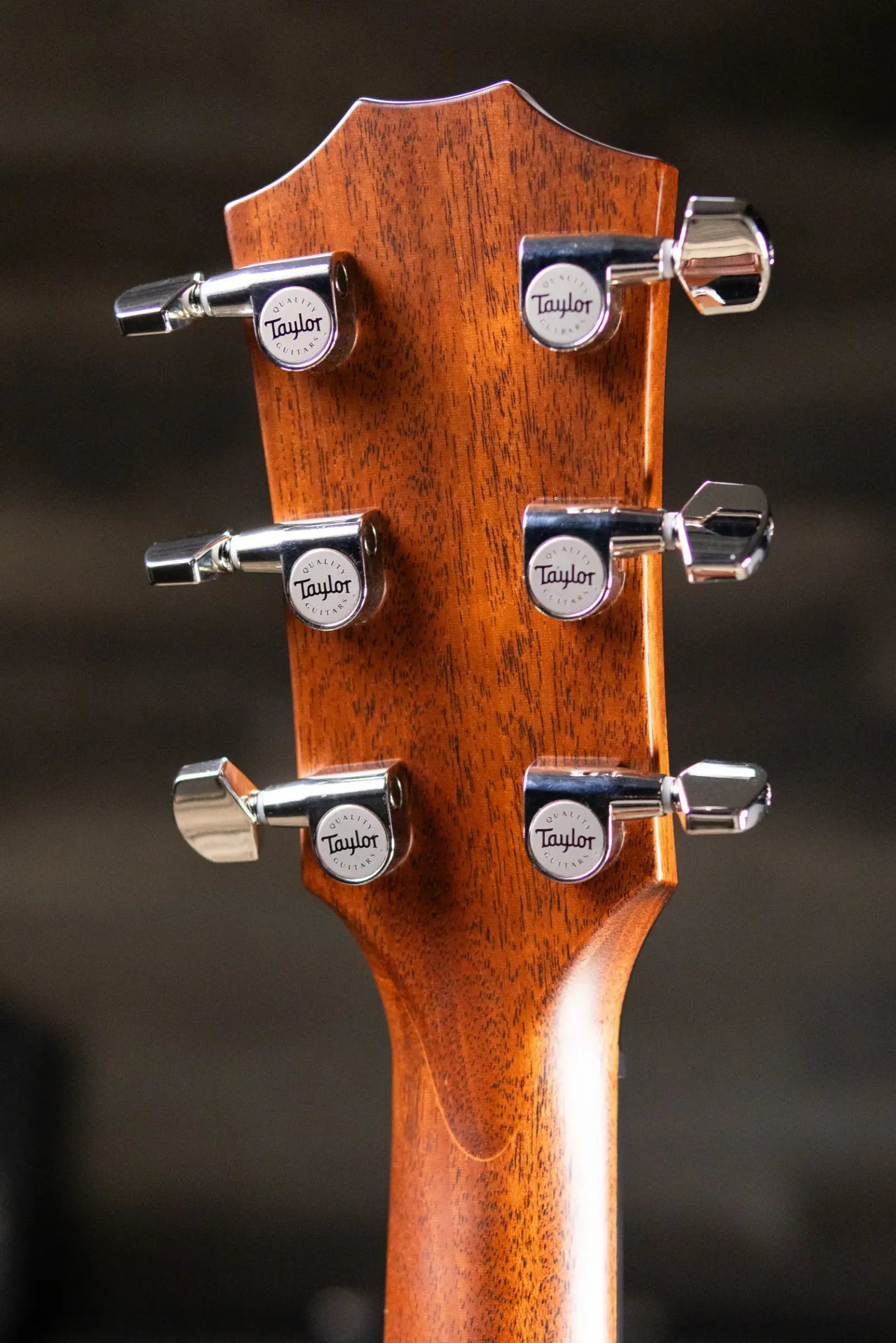Taylor Next Generation 412ce Grand Concert Acoustic/Electric Guitar - Indian Rosewood/Sitka with Hardshell Case