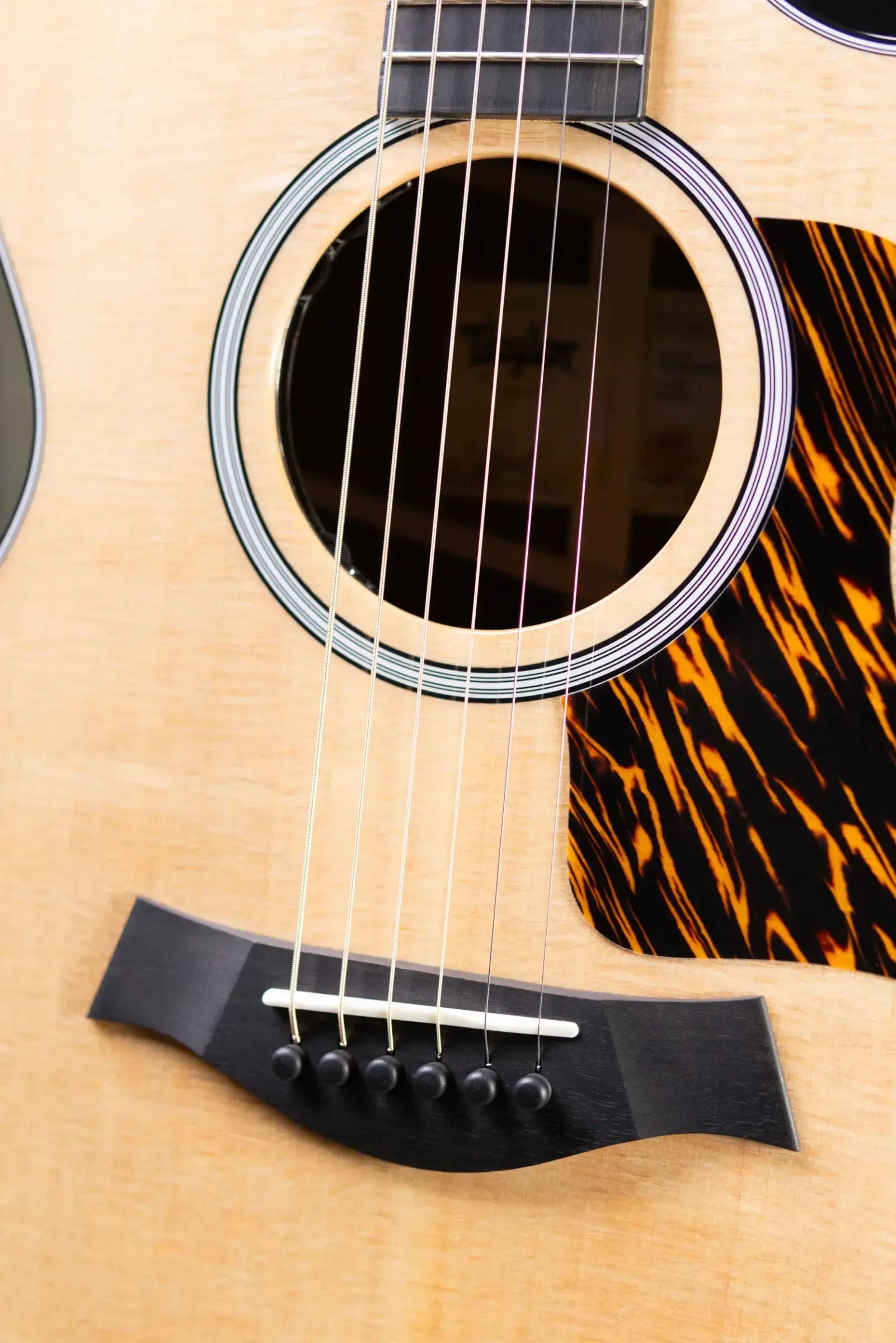Taylor Next Generation 412ce Grand Concert Acoustic/Electric Guitar - Indian Rosewood/Sitka with Hardshell Case