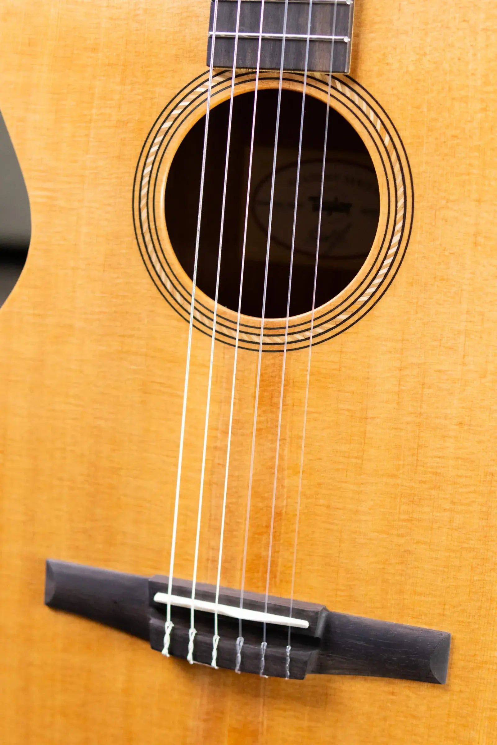 Taylor Academy 12e-N Nylon Grand Concert Acoustic/Electric Guitar with Gig Bag