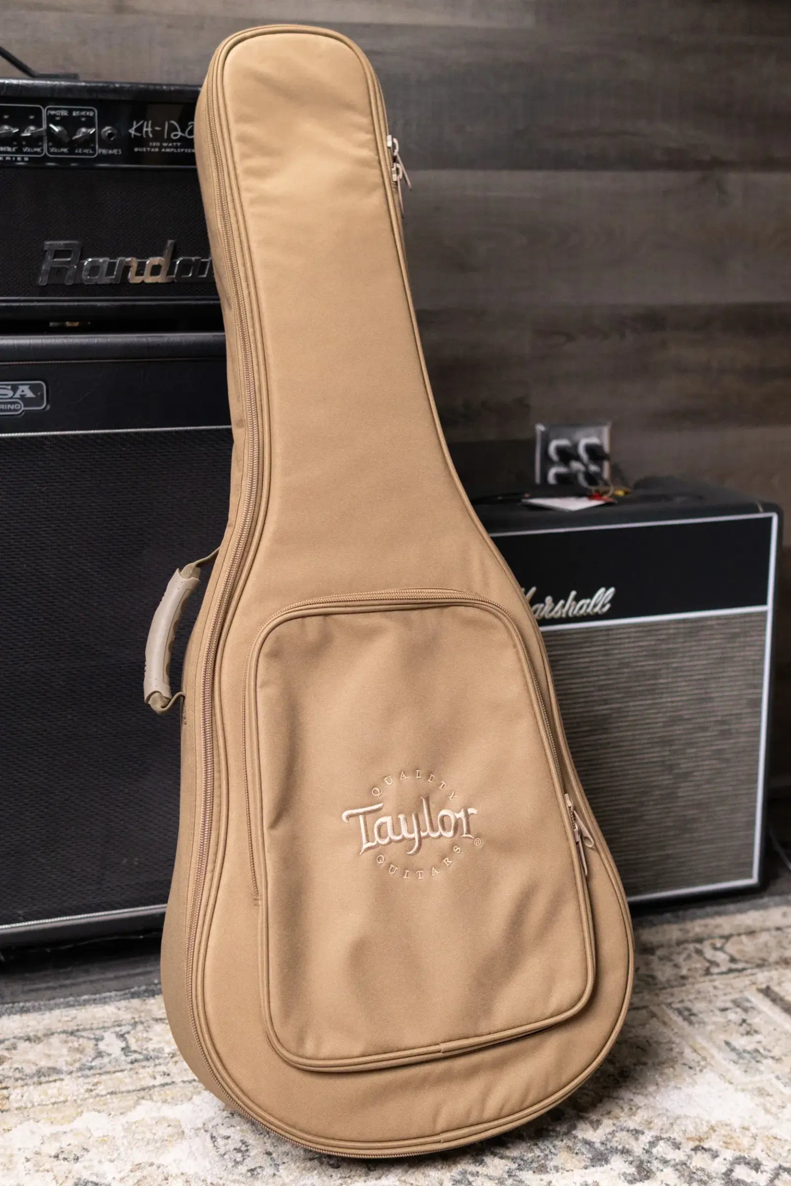 Taylor Academy 12e-N Nylon Grand Concert Acoustic/Electric Guitar with Gig Bag