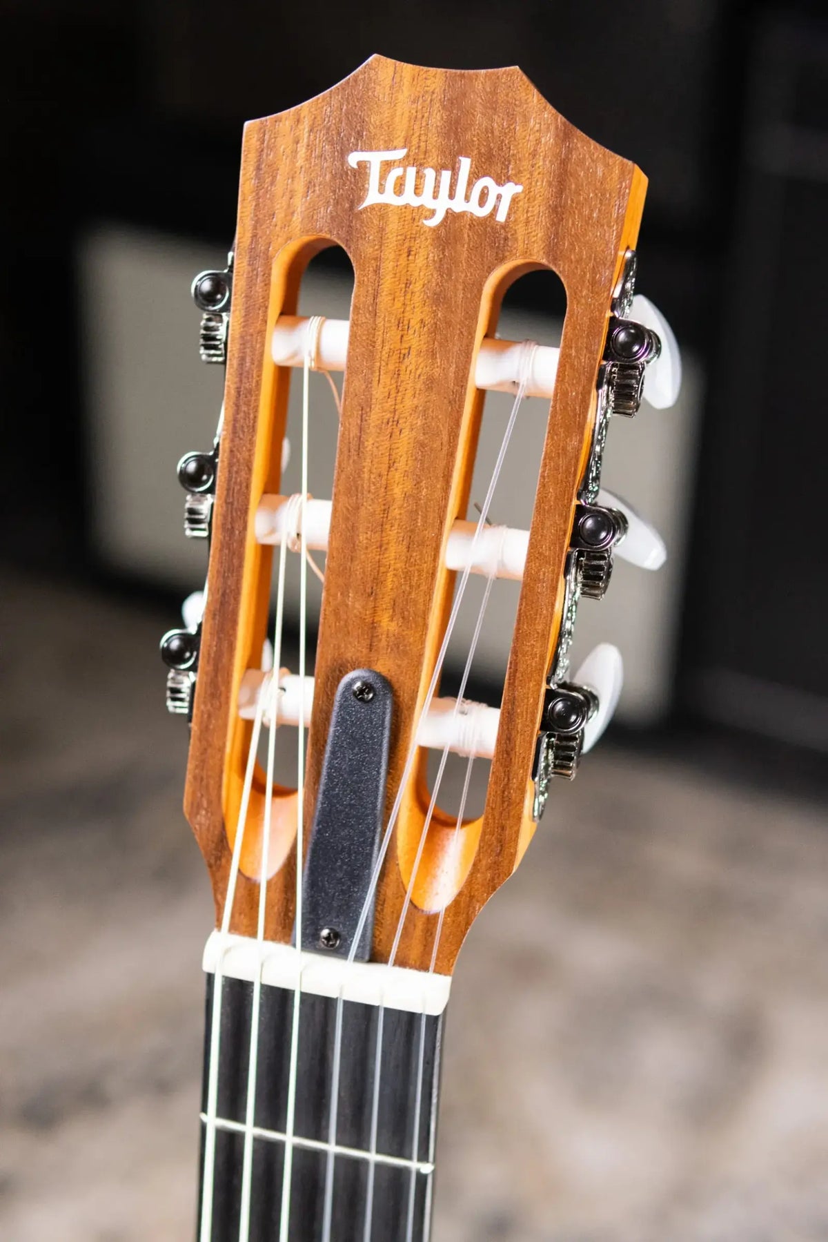 Taylor Academy 12e-N Nylon Grand Concert Acoustic/Electric Guitar with Gig Bag