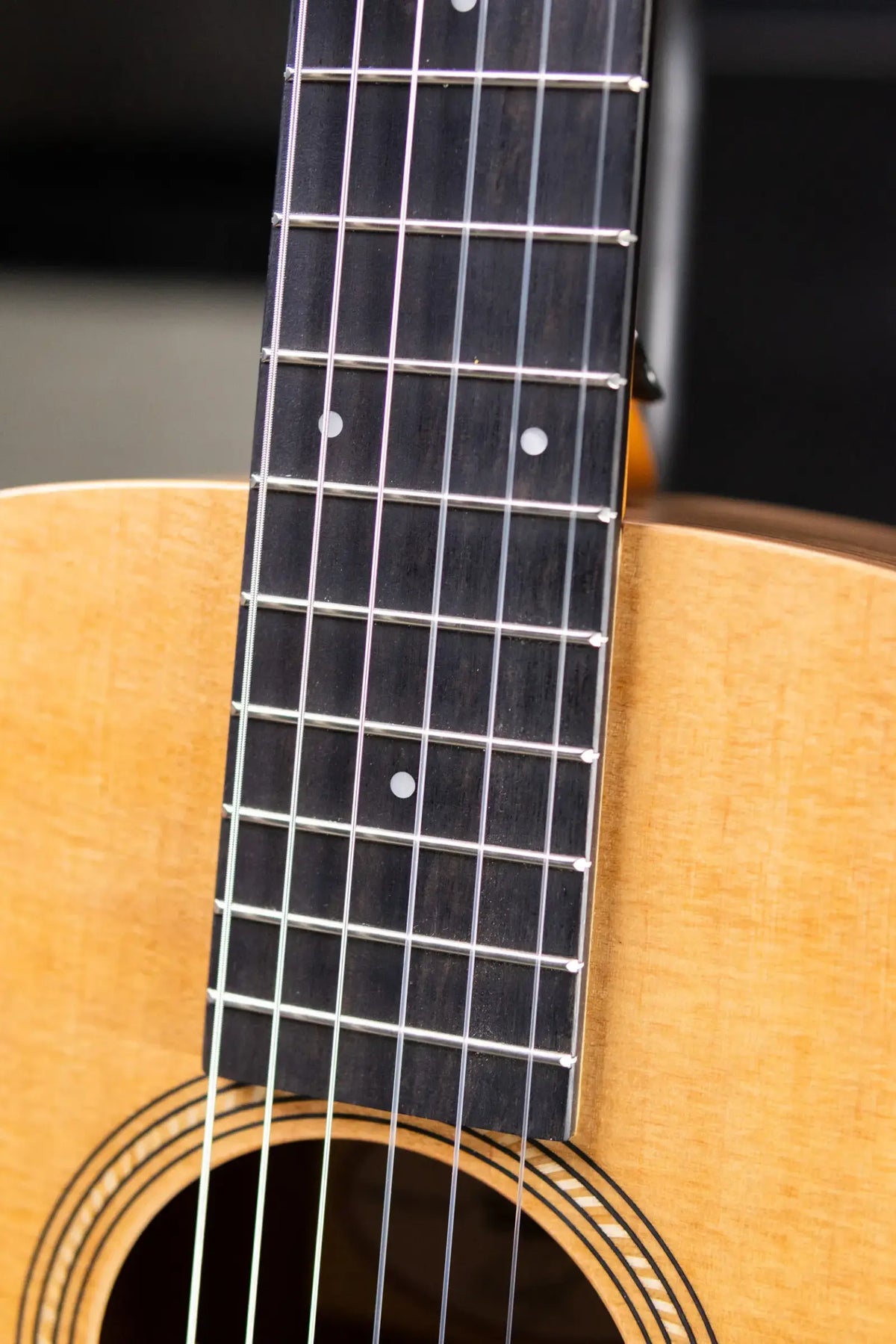 Taylor Academy 12e-N Nylon Grand Concert Acoustic/Electric Guitar with Gig Bag