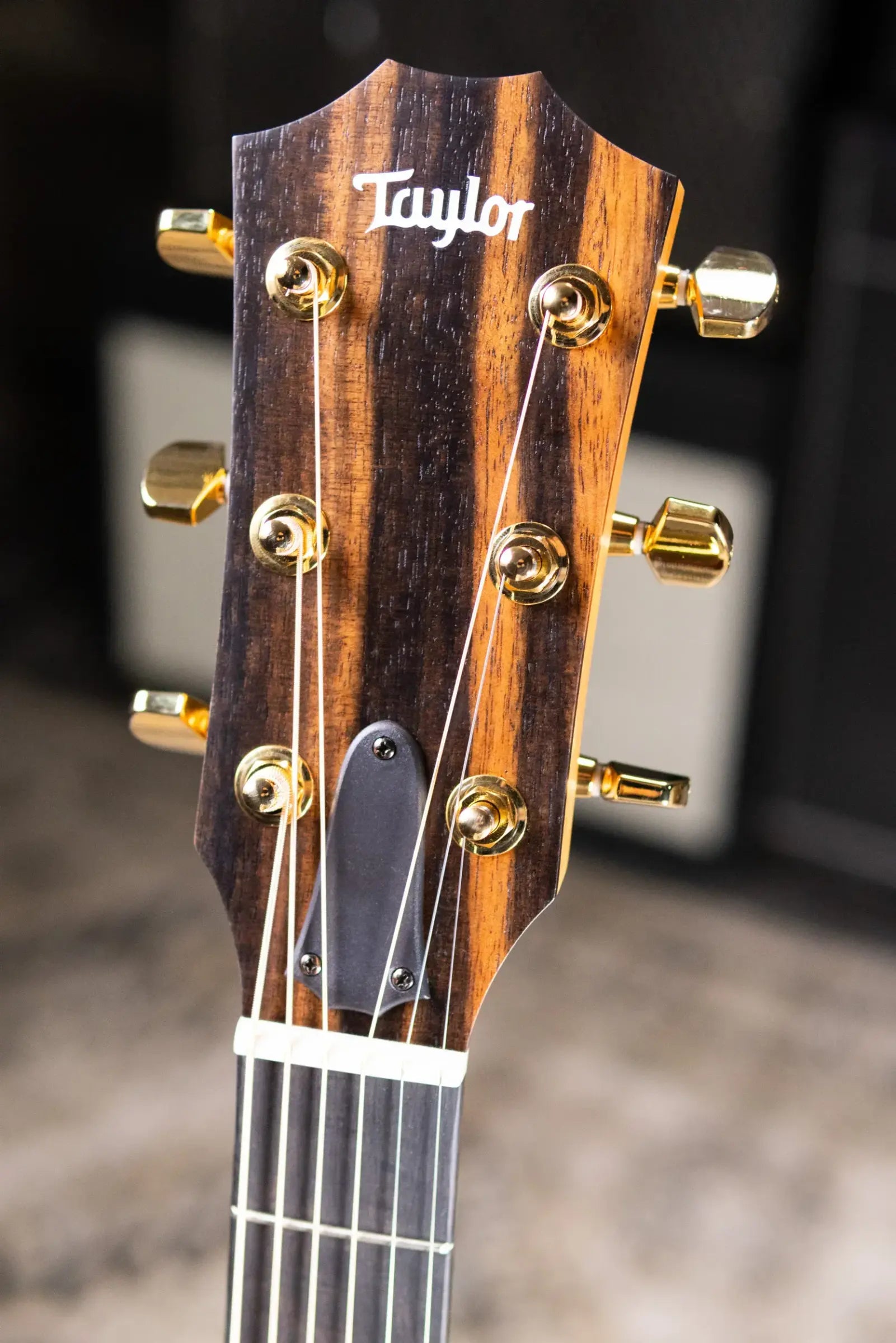 Taylor 224ce-K DLX Grand Auditorium Acoustic/Electric Guitar with Hardshell Case