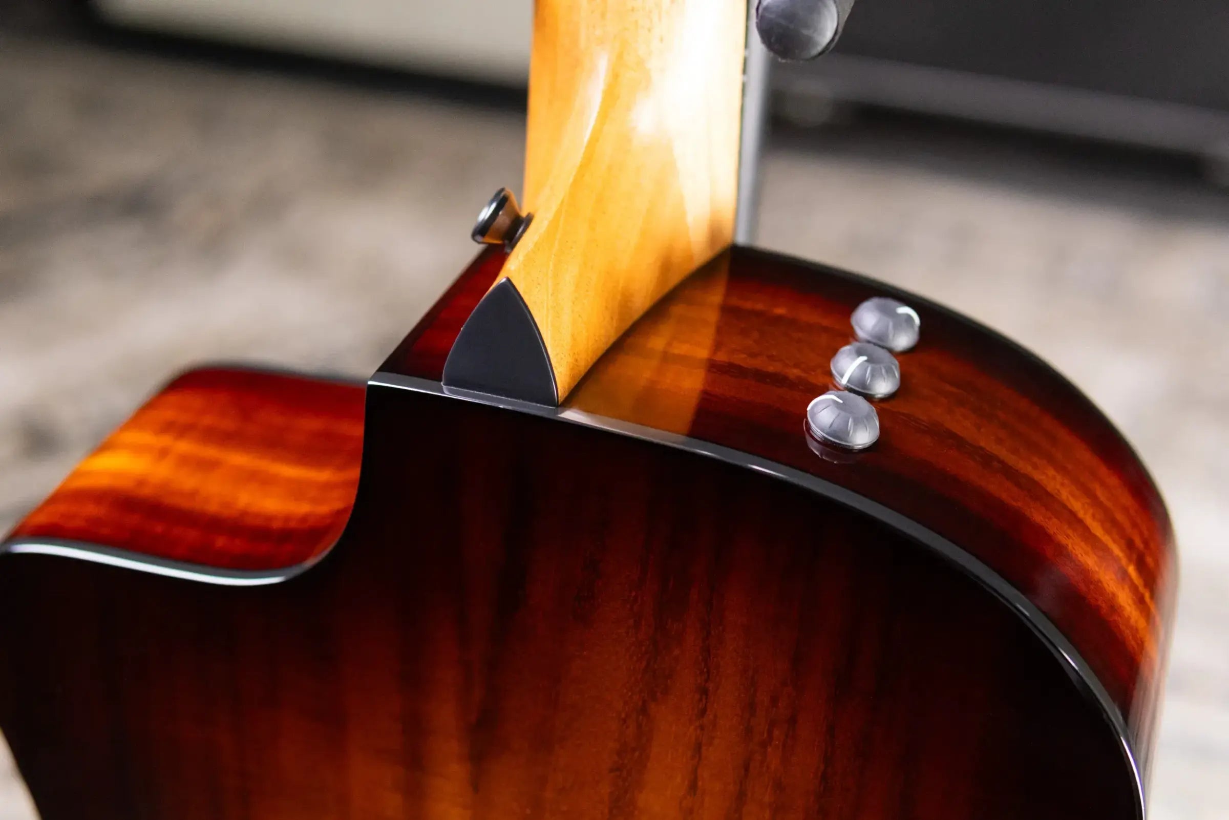 Taylor 224ce-K DLX Grand Auditorium Acoustic/Electric Guitar with Hardshell Case
