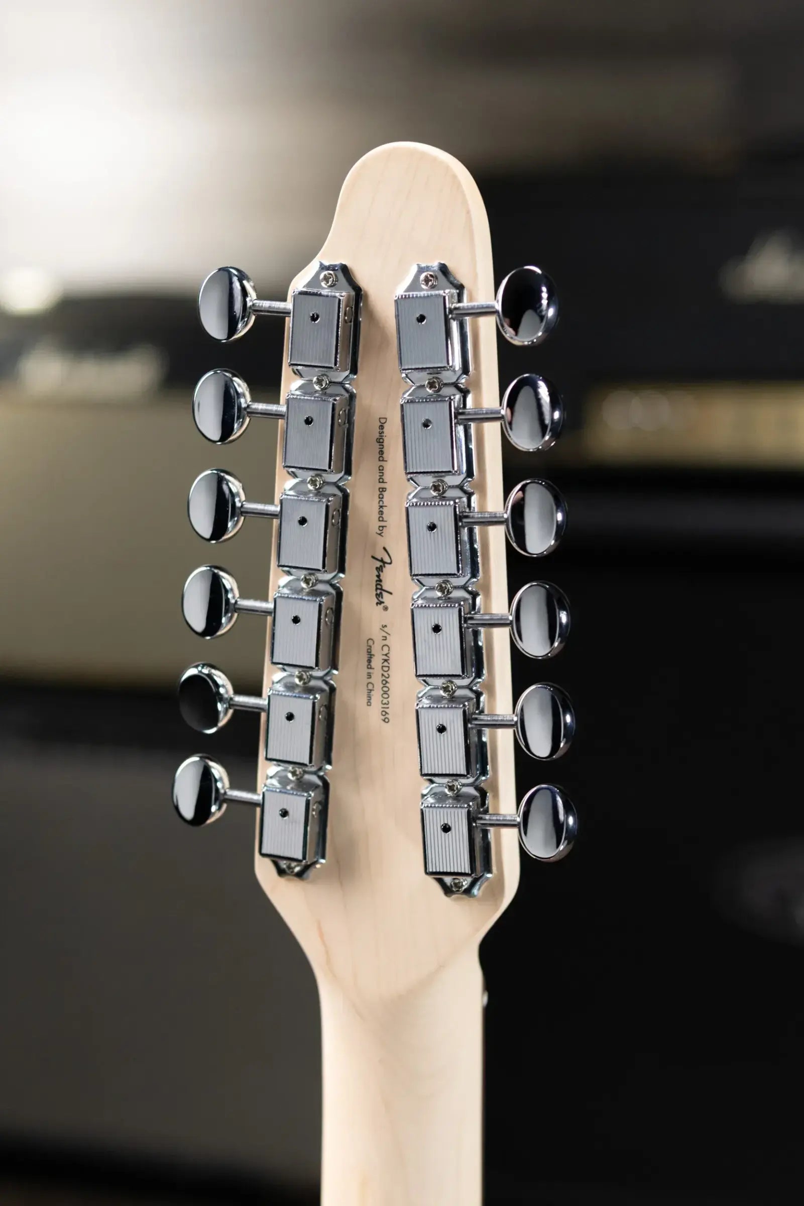 Squier Paranormal Troy Van Leeuwen Telecaster XII 12-String Electric Guitar - Copper