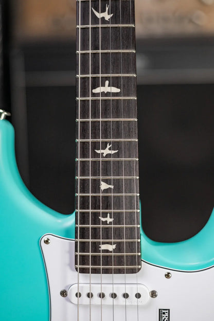 PRS Silver Sky Limited Edition Electric Guitar - Wild Blue with Gig Bag