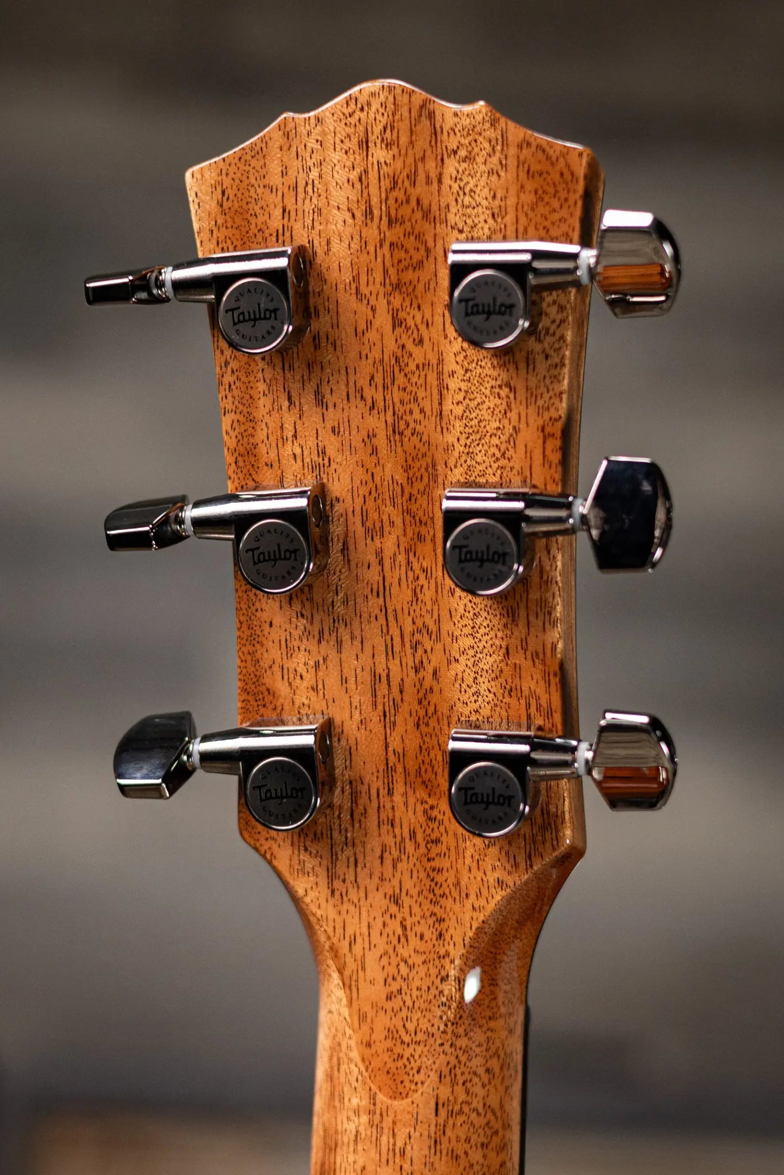 Taylor Custom Shop #C0005 Gold Label Grand Pacific Acoustic/Electric Guitar with Hardshell Case