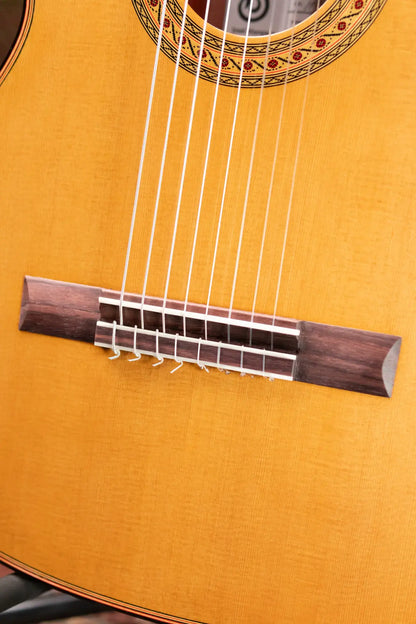 Jose Marques 8-String Classical Acoustic Guitar with Hardshell Case