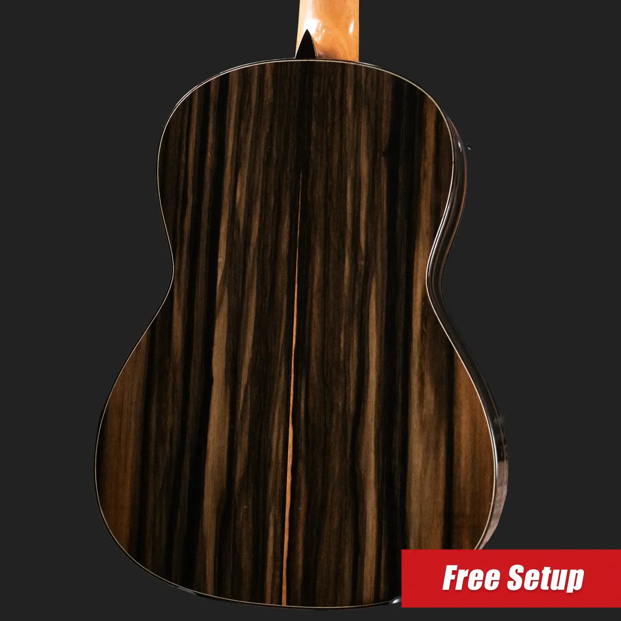 Jose Marques Doubletop Classical Acoustic Guitar - Exotic Ebony, Cedar Top with Hardshell Case