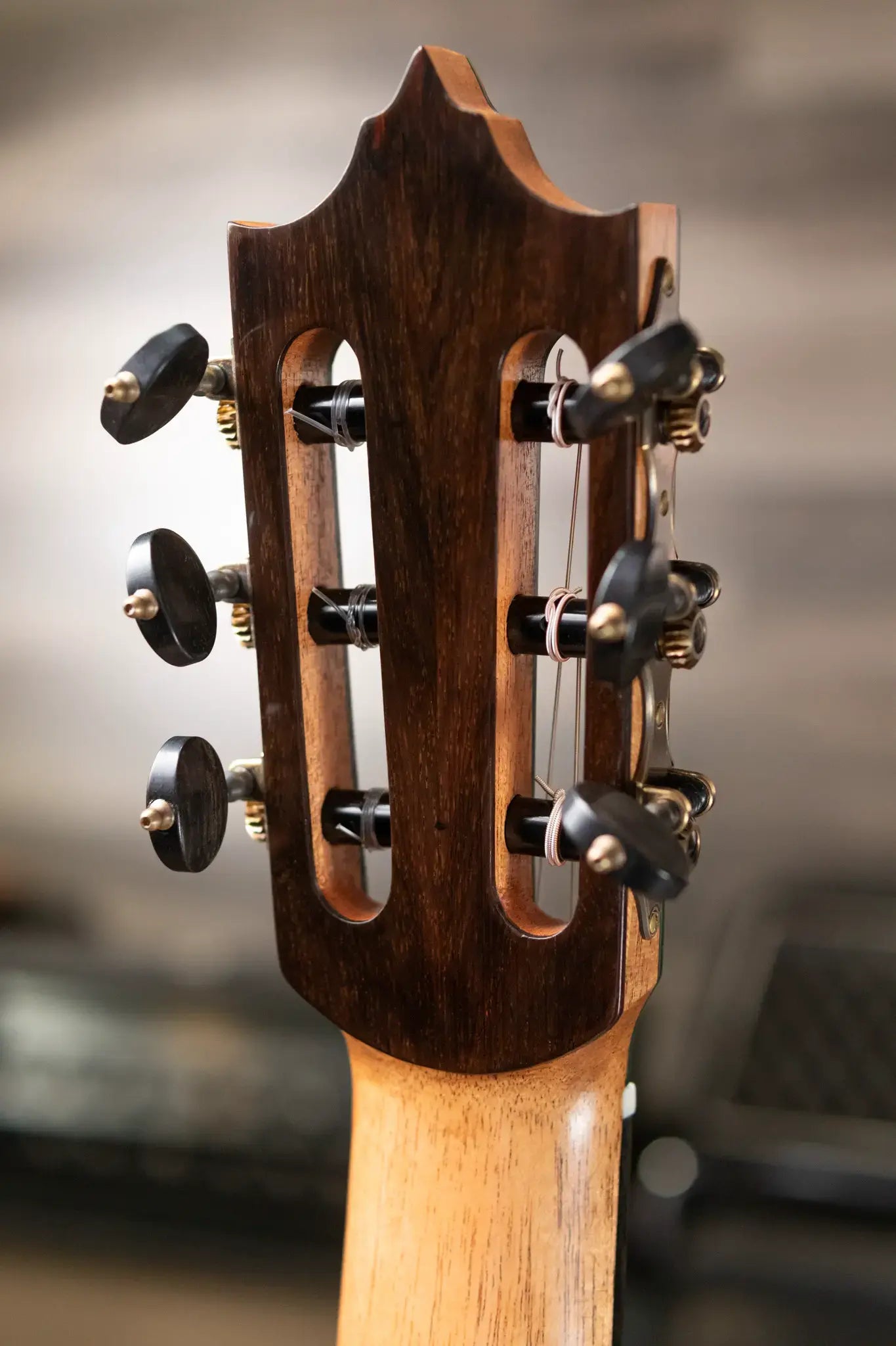 Jose Marques Tradicional Classical Guitar - Brazilian Rosewood with Hardshell Case